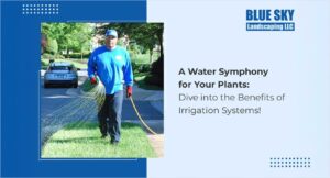 Service graphic for Blue Sky Landscaping promoting Irrigation Systems as A Water Symphony for Your Plants to dive into the benefits.