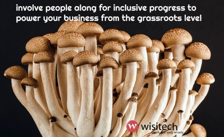 norms of management wisitech