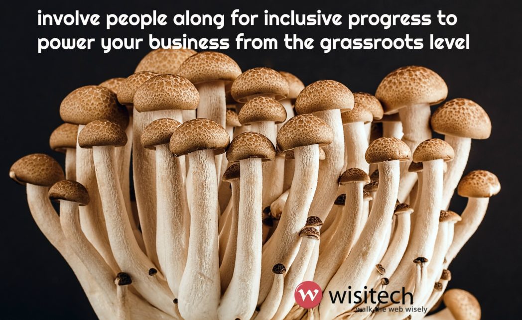 norms of management wisitech