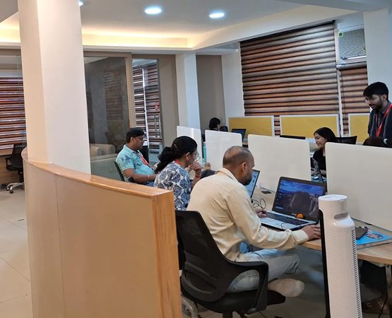 White label WordPress development services for agencies