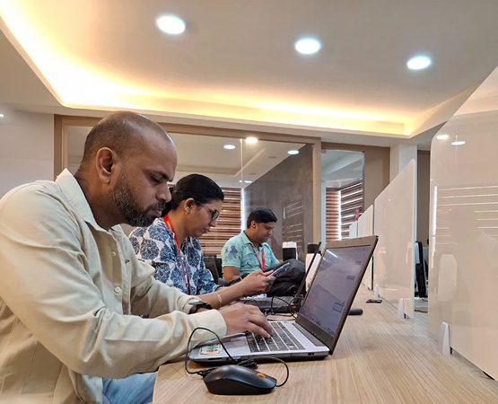 WordPress development services for the USA market