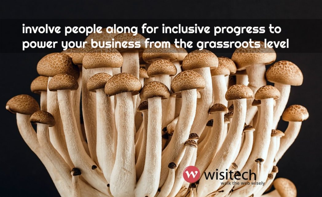 business tips from wisitech