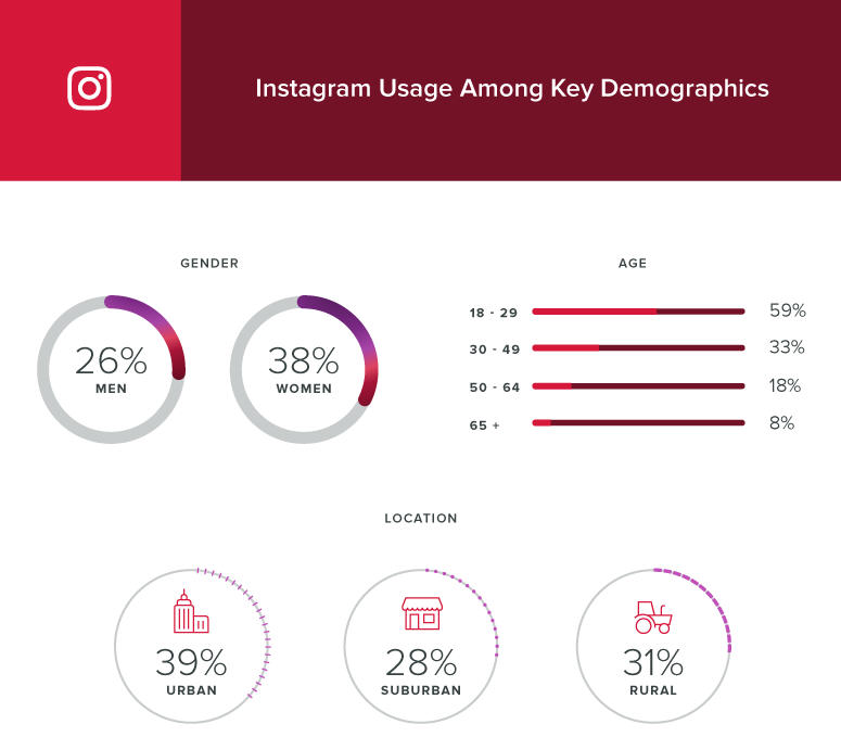 Instagram Demographics