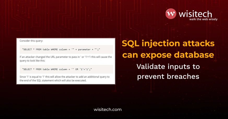 Example of SQL injection attack using malicious query input in web application