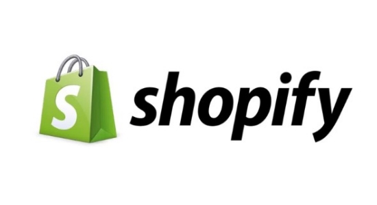 hire shopify developer india
