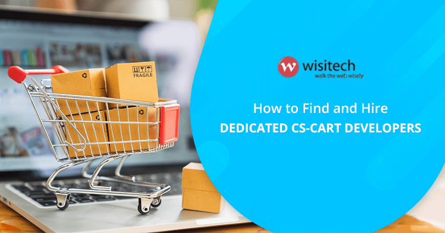 Team of CS-Cart developers customizing and optimizing an eCommerce store