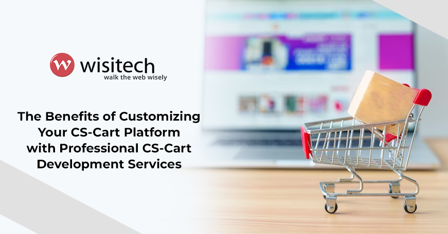 The Benefits of Customizing Your CS-Cart Platform with Professional Development Services