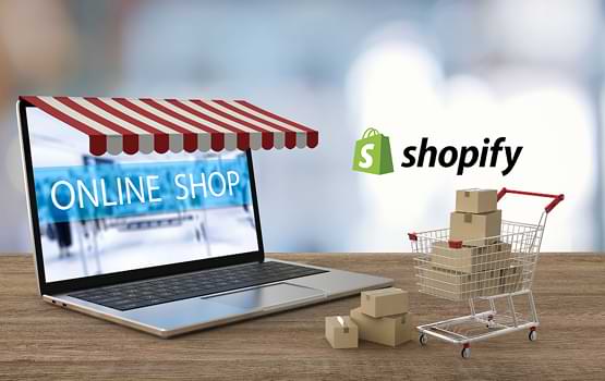 Wisitech's Shopify services drive revenue with custom stores, AI personalization, and seamless migration.